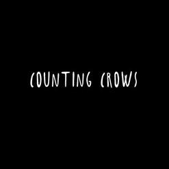 Counting Crows - While You Were Counting Crows (2019)